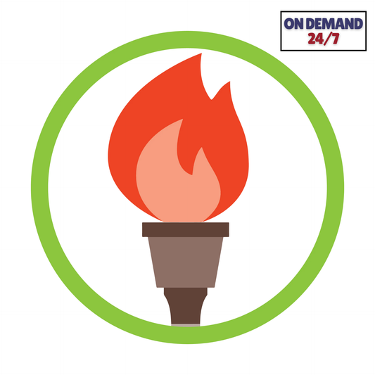 Public Health Merit Badge - On Demand 24/7