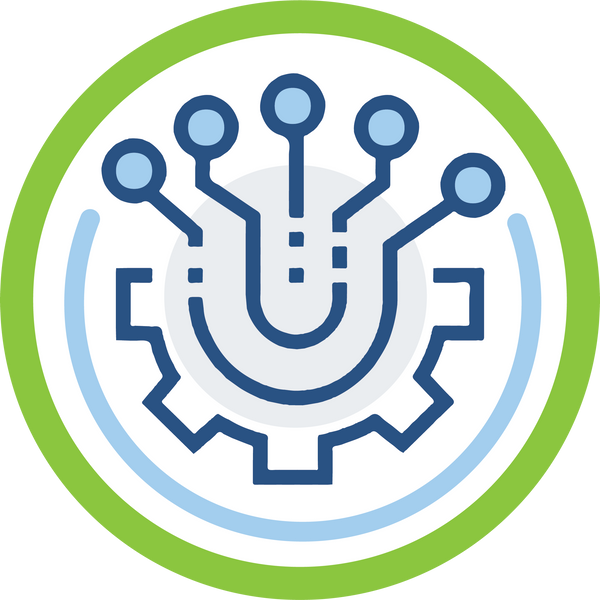 Digital Technology Badge - Online